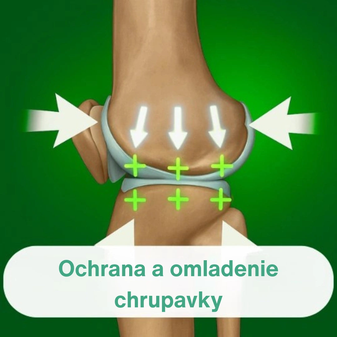 OrthoKnee™ – Dlhodobá úľava od artritídy a bolestí kĺbov